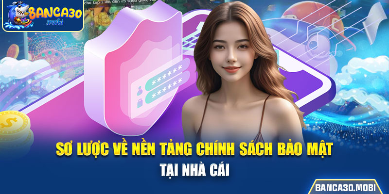 sơ lược về nền tảng chính sách bảo mật